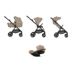 Anex IQ 3 in 1 Honey con Cloud G Plus I-Size