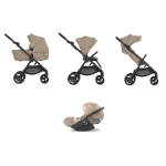 Anex IQ 3 in 1 Honey con Cloud T Plus I-Size