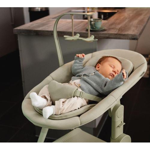 Anex Seggiolone Pappa 3 in 1 Ozy