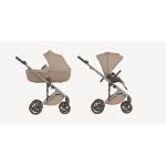 Anex 2 in 1 Eli Gato