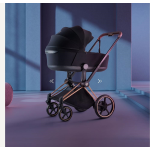 Cybex Duo ePriam Comfort