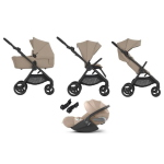 Anex IQ 3 in 1 Honey con Cloud T Plus I-Size