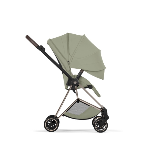 Cybex Duo Mios Style Champagne Gold-Sage Green