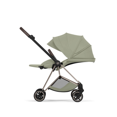Cybex Duo Mios Style Champagne Gold-Sage Green