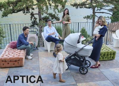 Inlgesina Aptica