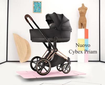 Scegli il tuo nuovo Priam